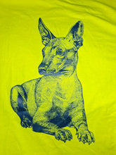 Cargar imagen en el visor de la galería, XOLOITZCUINTLE-ALMA DE PERRO 🐕