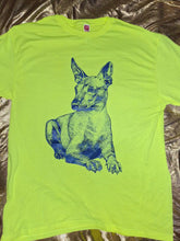 Cargar y reproducir el video en el visor de la galería, XOLOITZCUINTLE-ALMA DE PERRO 🐕
